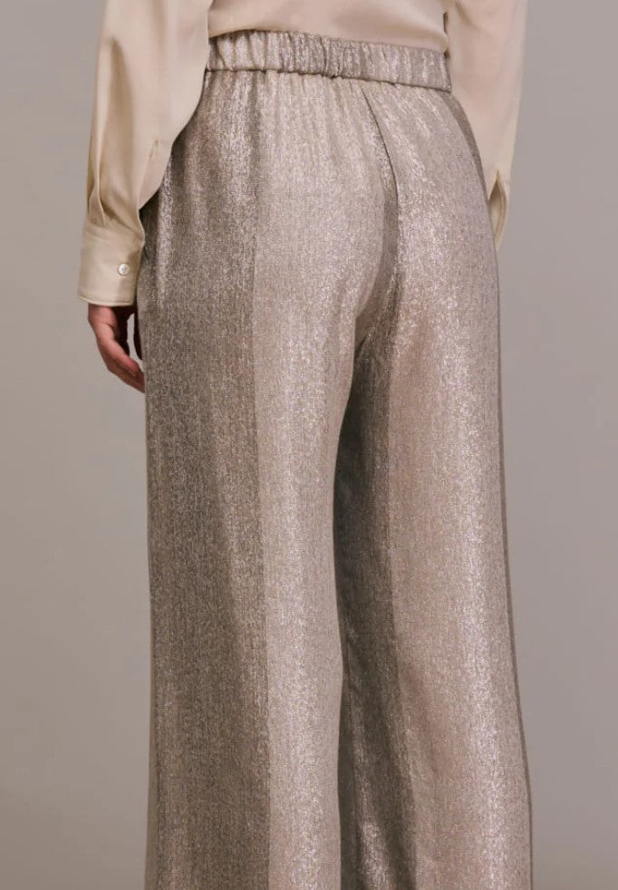 Portorico shinny trousers - Diega
