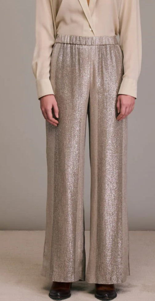 Portorico shinny trousers - Diega